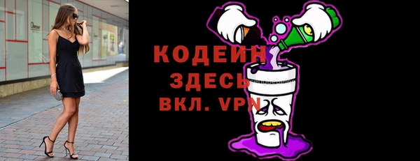 mdpv Вяземский