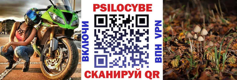 закладка Вольск Псилоцибиновые грибы прущие грибы