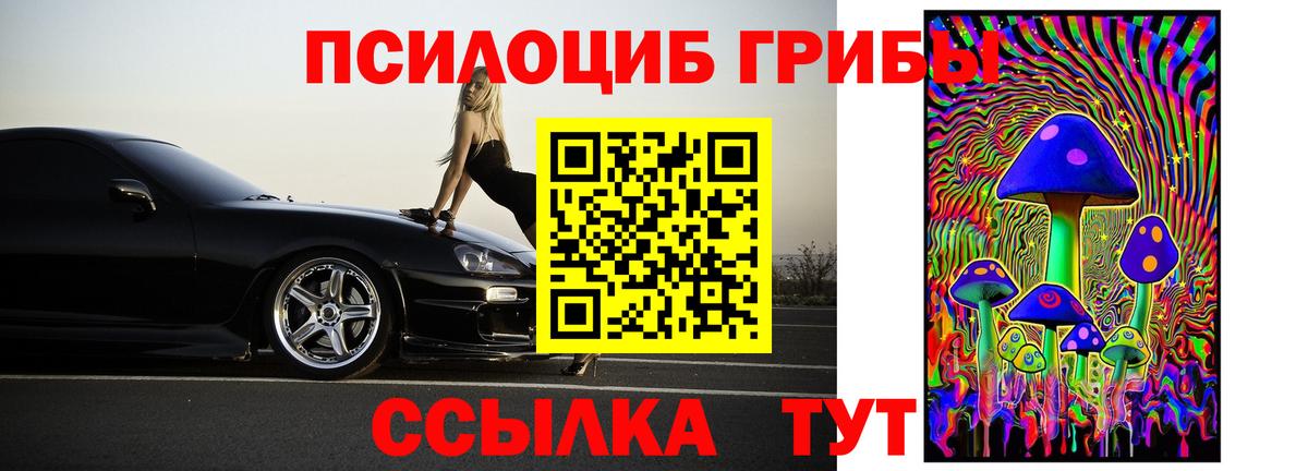 Галлюциногенные грибы Cubensis Вольск