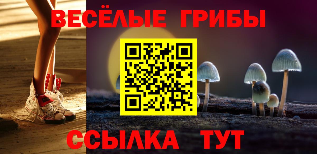 Вольск  даркнет сайт  Вход с VPN  Галлюциногенные грибы GOLDEN TEACHER 