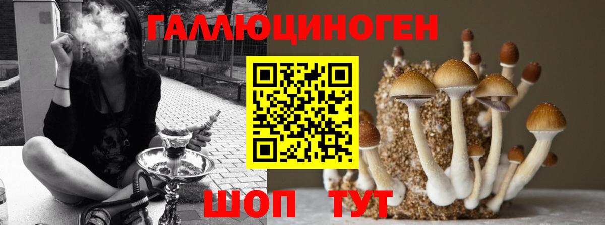 Псилоцибиновые грибы ЛСД  Вольск 